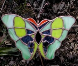 large green
                butterfly