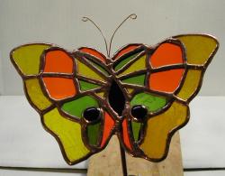 butterfly
                LGorange